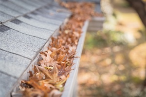How Gutter Guards Protect Your Home from Storm Damage in the Twin Cities
