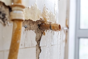 How Professionals Assess Water Damage Before Removal
