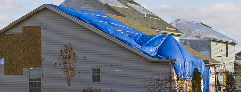 Storm damaged houses with tarped roofs and boarded up windows.